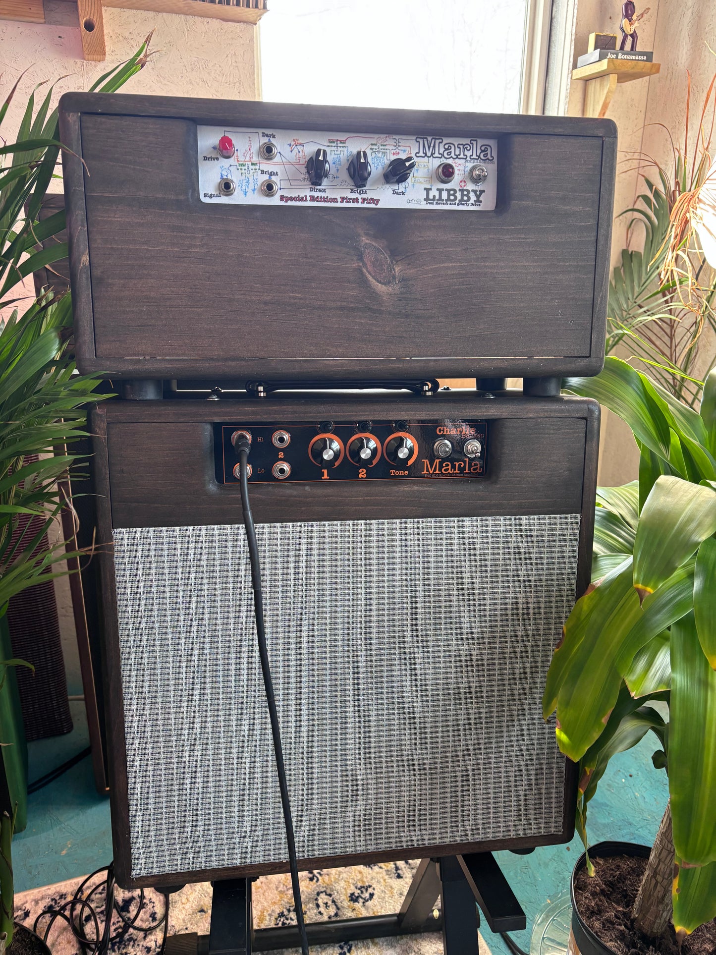 Libby Unit - Dual Reverb with gNarly Overdrive