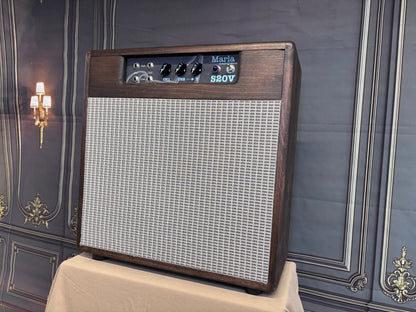 Marla S20V 2Channel 22Watt Combo