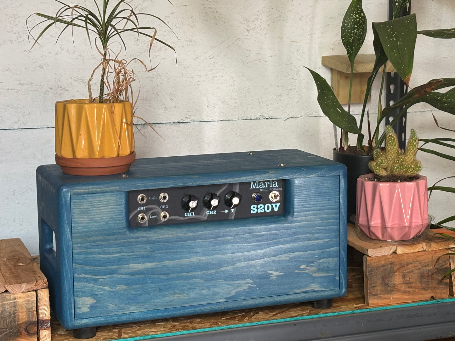 S20V | 22W Handwired 2-Channel Head & Cab T1012