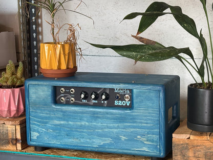 S20V | 22W Handwired 2-Channel Head & Cab T1012