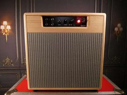 Marla S20V 2Channel 22Watt Combo