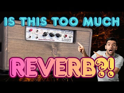 Libby Unit - Dual Reverb with gNarly Overdrive